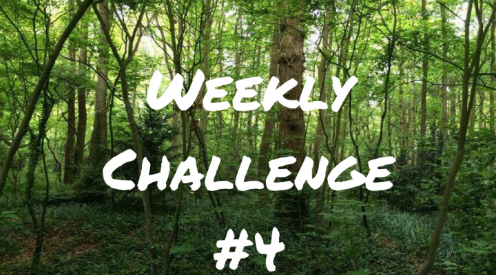 Weekly Challenge #4 – Getting Fit For True Grit!